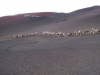 parque-de-timanfaya-lanzarote-elena-uliyanova